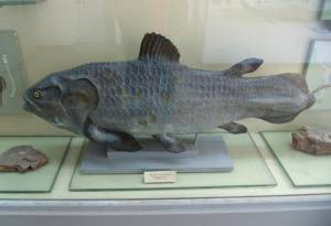 Древняя рыба
