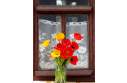 Фотография Букет тюльпанов на окне 