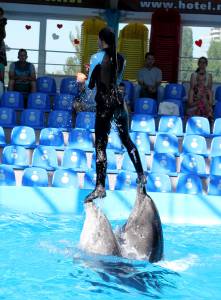 девушка на дельфинах