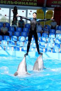 дрессировщица дельфинов