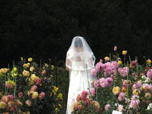 невеста в цветочном  саду