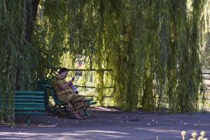Женщина на лавочке в парке читает газету в тени ивы 