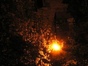Одинокий фонарь в листве